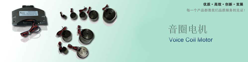 Voice Coil Motors Voice Coil Motors